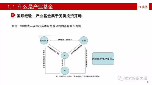 產業(yè)基金的建立、投資策略、投后管理與風險控制